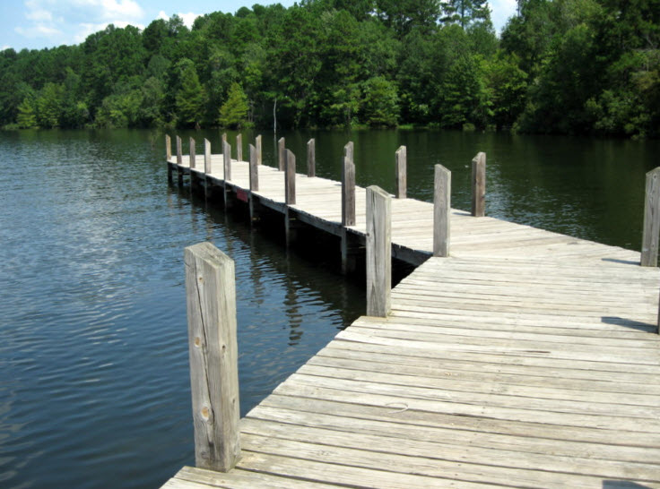 Lake Claiborne State Park, Louisiana, USA